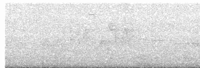 Common Yellowthroat - ML587225801
