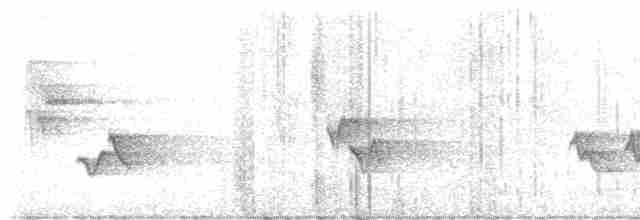 Cerulean Warbler - ML587231411