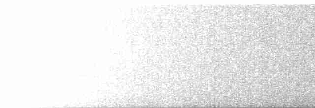 Hermit Thrush (faxoni/crymophilus) - ML587244611