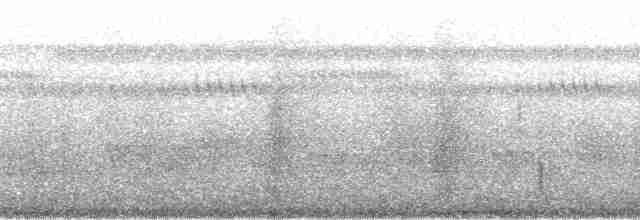 White-throated Tinamou - ML58725