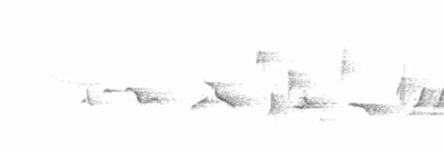 Oriole des vergers - ML587251391