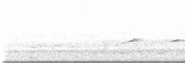Great Reed Warbler - ML587253111
