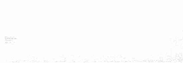 Turuncu Ardıç - ML587260181