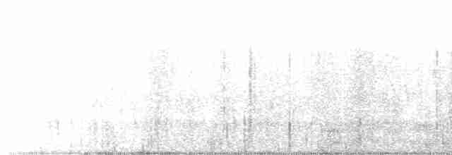 Yellow Warbler - ML587279941