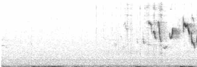 Troglodyte de Baird - ML587302201