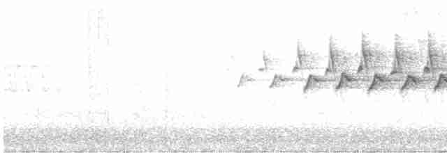キヅタアメリカムシクイ（coronata） - ML587302571