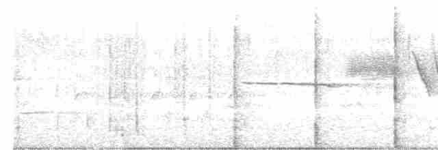 Kuzey Amerika Kara Ağaçkakanı - ML587313531