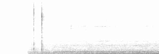 Пересмішник білочеревий - ML587333111