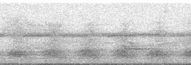 Highland Tinamou (South American) - ML58734
