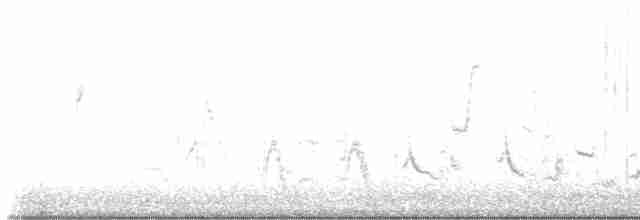 Кактусовый пересмешник - ML587354881