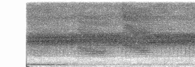 Борнейская воронья кукушка - ML587375231