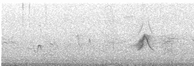 tyranovec olšový - ML587386151