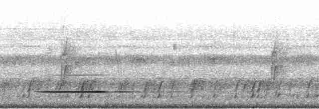 Cinereous Tinamou - ML58739