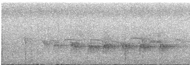 Alción de Esmirna - ML587399581