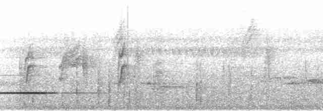 Cinereous Tinamou - ML58740