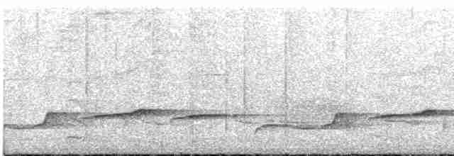 Oriole Warbler - ML587402301