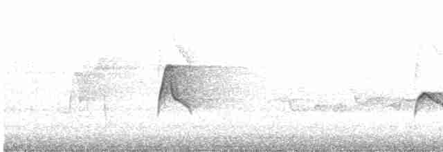 Acadian Flycatcher - ML587411621
