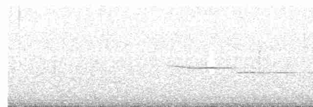 Canada Warbler - ML587458011