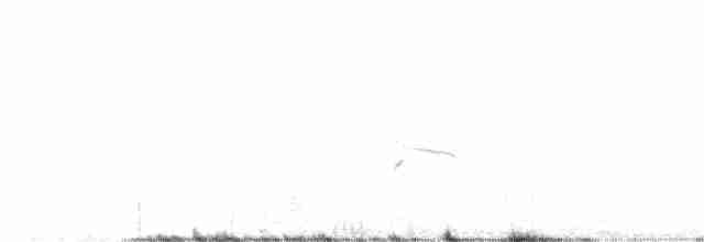 Asian Desert Warbler - ML587478641