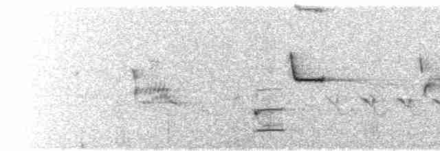 Loggerhead Shrike - ML587515781