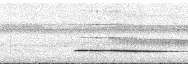 Little Tinamou - ML58753