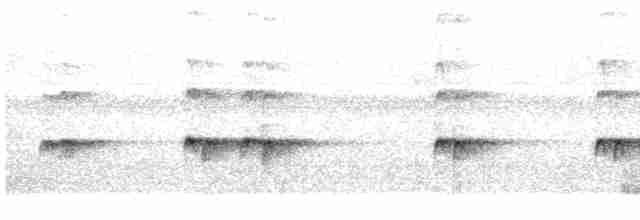 Каролинский крапивник - ML587534131