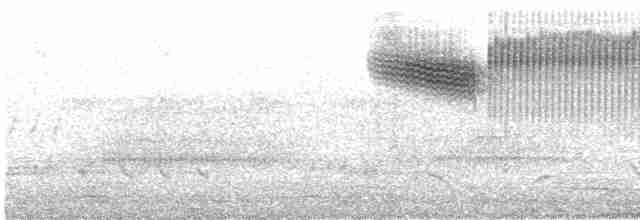 Голубокрылая червеедка - ML587549081
