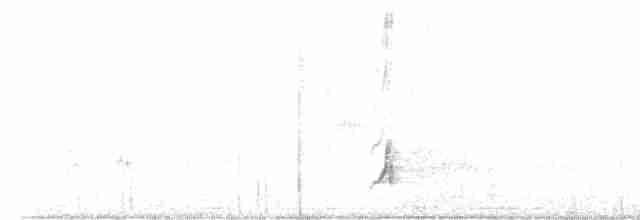 Brown-crested Flycatcher - ML587568601