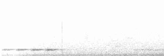 holoubek vlnkovaný - ML587617321