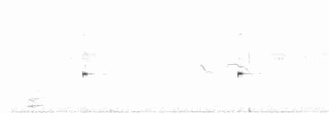 Малая поганка - ML587620071