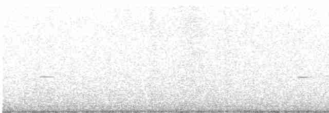 White-eared Honeyeater - ML587624621