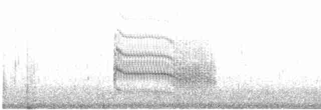 Sumru (longipennis) - ML587651091