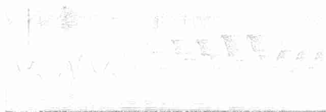 Дрізд-короткодзьоб плямистоволий - ML587662871
