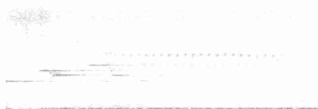 Дрізд-короткодзьоб плямистоволий - ML587663011