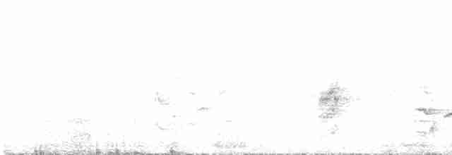 Черная райская мухоловка - ML587713651