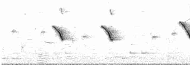 australlerke (javanica gr.) - ML587716821