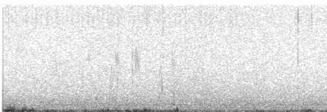 Western Black-eared Wheatear - ML587721131