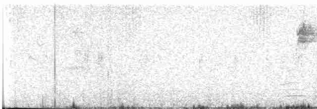 Western Olivaceous Warbler - ML587721571