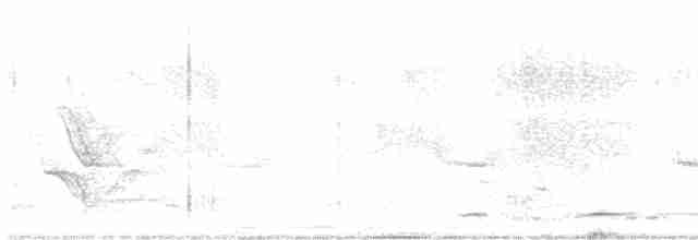Black-collared Barbet - ML587726741