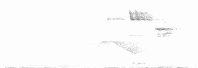 White-eared Sibia - ML587760831