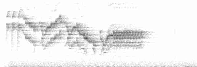 Дрізд-короткодзьоб канадський - ML587797761
