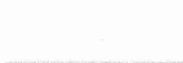 Пестрогорлый соловьиный дрозд - ML587797771