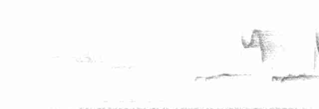 Large-billed Reed Warbler - ML587812151