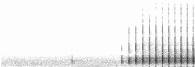 Дятел ялиновий (підвид fasciatus) - ML587817441