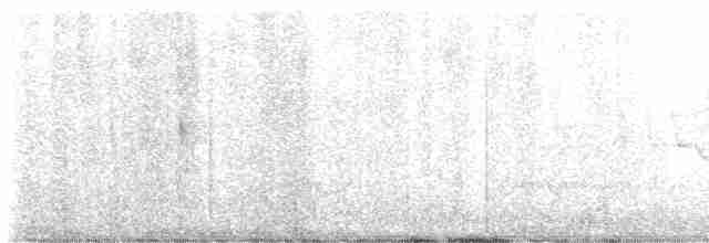 Common Yellowthroat - ML587822991