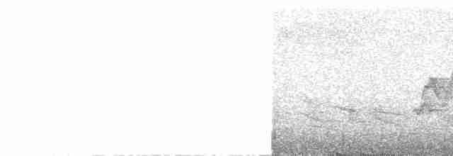 Чешуйчатогрудый пересмешник - ML587823651