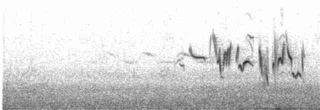 Сибирский черноголовый чекан (przewalskii) - ML587830451