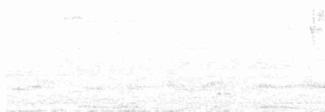 Turuncu Başlı Tangara - ML587859031
