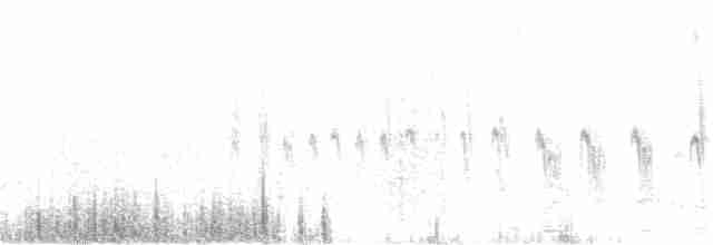 Western Meadowlark - ML58790001