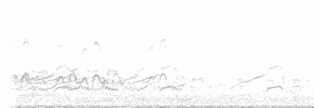Canard de Chiloé - ML587977131